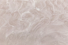 Обои виниловые Kerama Marazzi Оазис, база, бежевый (1, ТE) КМ6208