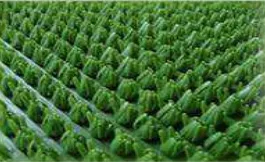 Щетинистое покрытие Альфа-Стиль стандарт 164 Моховый, 1 м.п.